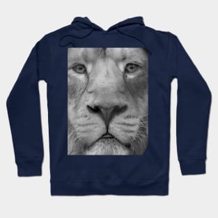 King of the Jungle Hoodie